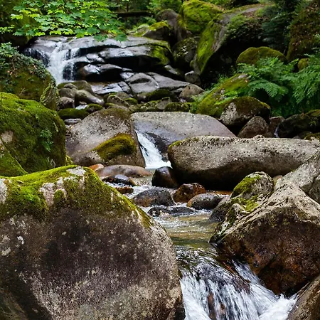 Cabana Gerês