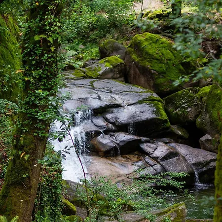 Cabana * Gerês